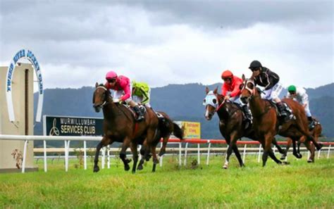 murwillumbah races|murwillumbah races today.